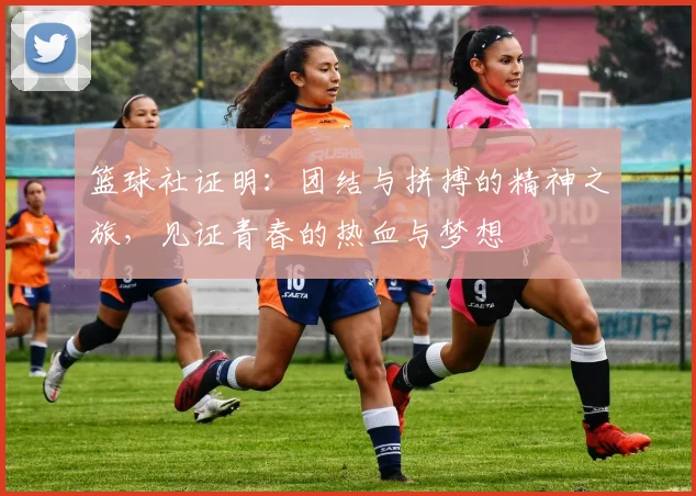 篮球社证明：团结与拼搏的精神之旅，见证青春的热血与梦想