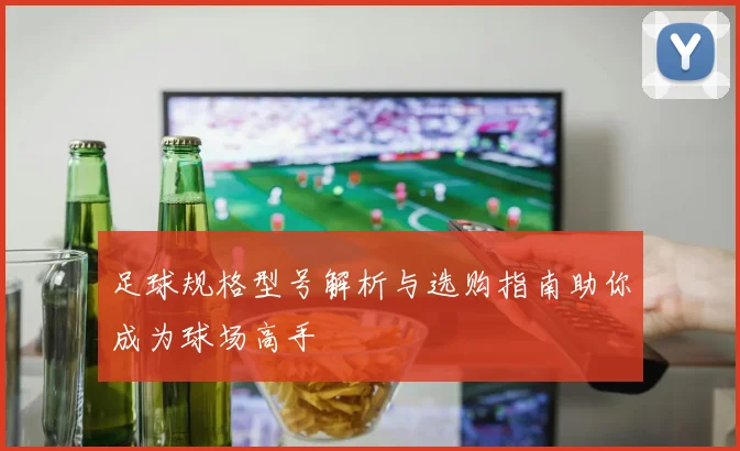 足球规格型号解析与选购指南助你成为球场高手