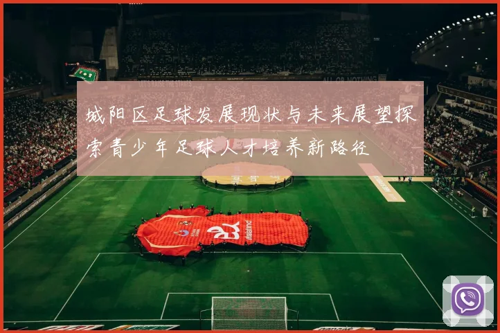 城阳区足球发展现状与未来展望探索青少年足球人才培养新路径