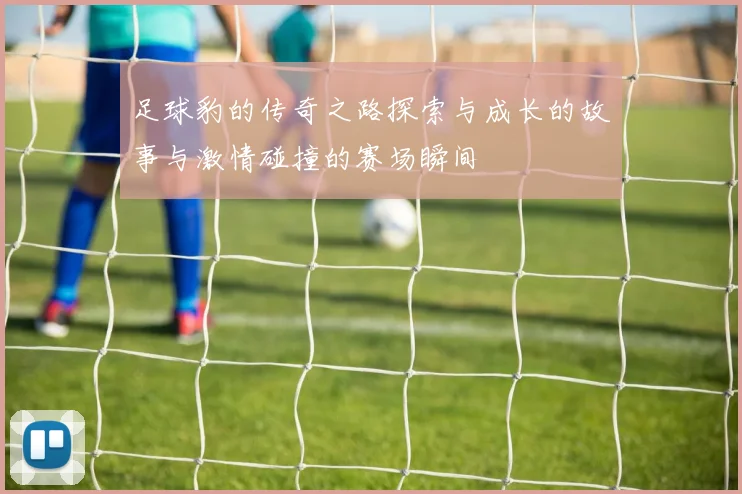 足球豹的传奇之路探索与成长的故事与激情碰撞的赛场瞬间