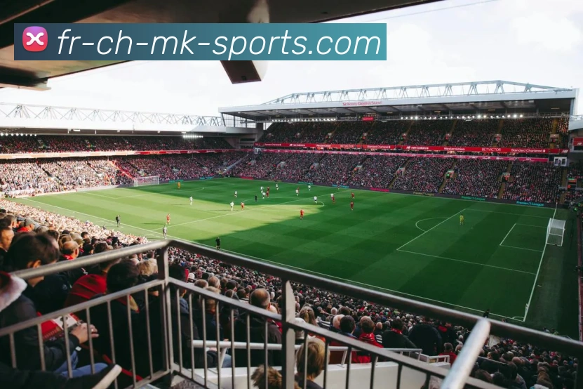 领先体育平台生态图